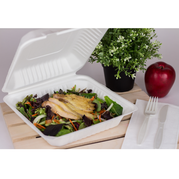 EcoChoice 9 x 9 x 3 Compostable Sugarcane / Bagasse 3