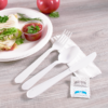White Wrapped Heavy Weight Plastic Cutlery Kit with Salt & Pepper - 250/Case - Image 3